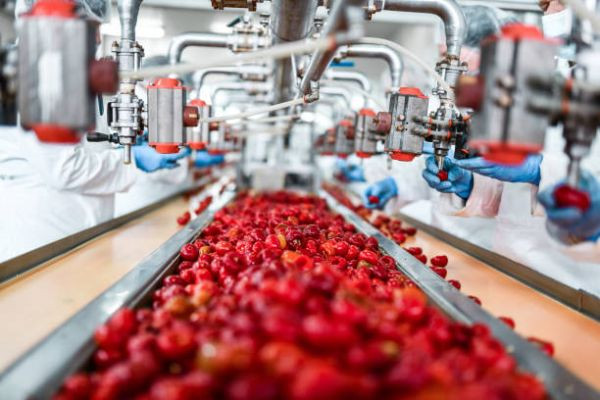 How Do Changing Consumer Preferences Impact the Global Fruit Processing Market?