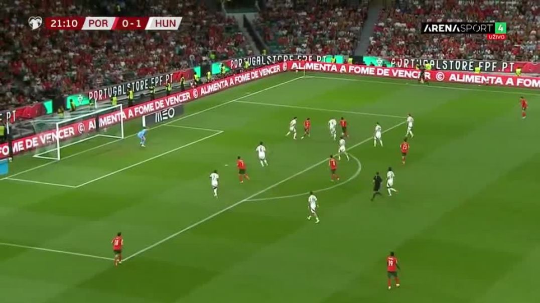 Portugal 1 - 1 Hungary - Cristiano Ronaldo 22'