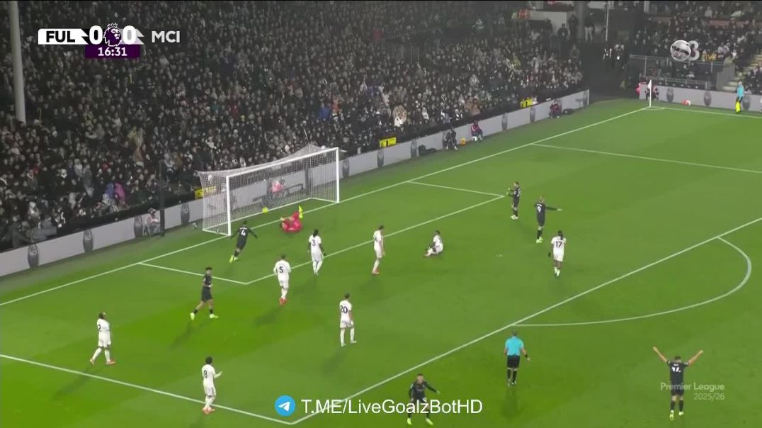 ⁣Fulham 0 - [1] Manchester City - E. Haaland 17'