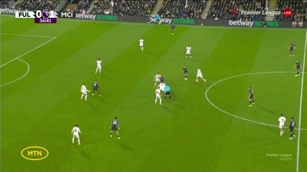 ⁣Fulham 0 - 2 Manchester City - T. Reijnders 37'