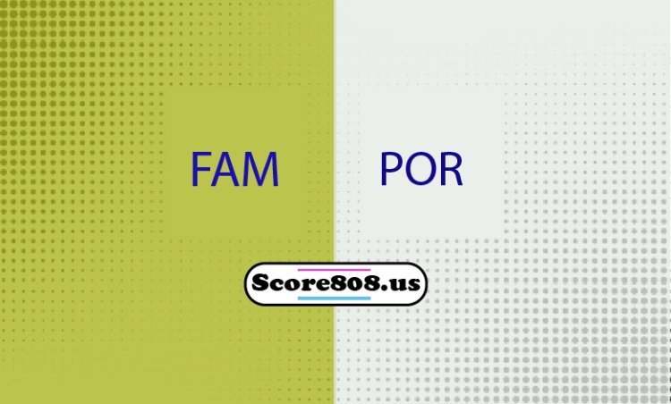 Famalicao Vs Portimonense