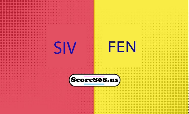 Sivasspor Vs Fenerbahçe