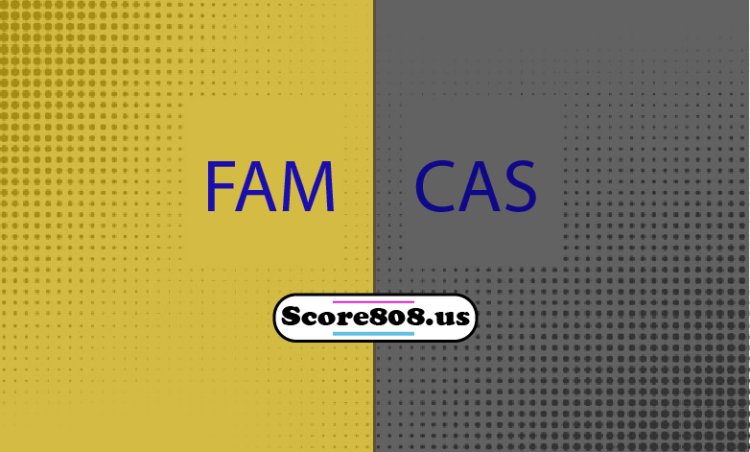 Famalicao Vs Casa Pia