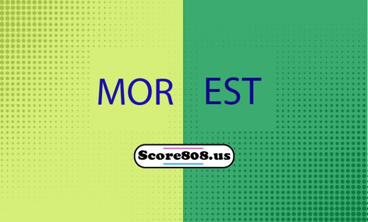 Moreirense Vs Estoril