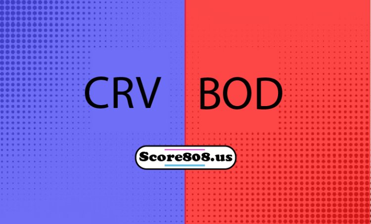 Crvena zvezda Vs Bodø_Glint