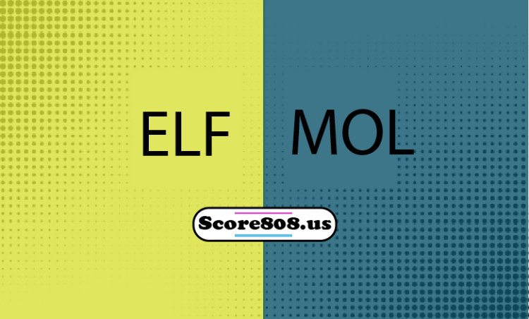 Elfsborg Vs Molde