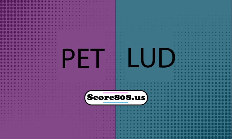 Petrocub Vs Ludogorets