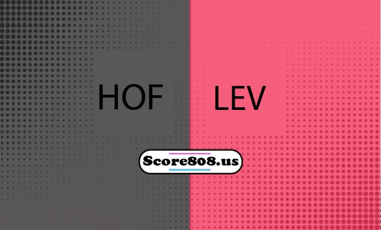 Hoffenheim Vs Leverkusen