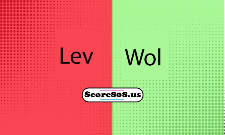 leverkusen Vs Wolfsburg