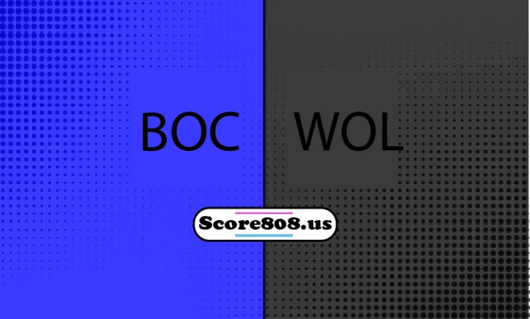 Bochum Vs Wolfsburg