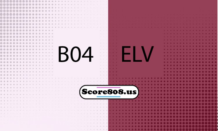 Leverkusen Vs Elverseberg