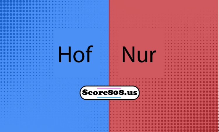 Hoffenheim Vs Nurnberg