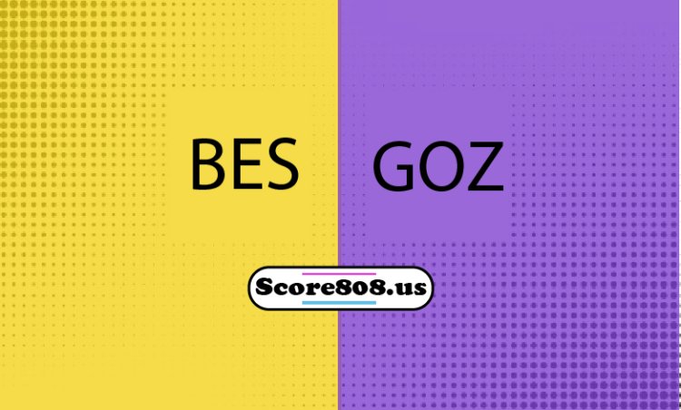 Besiktas Vs Goztepe