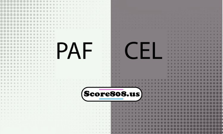 Pafos Vs Celje