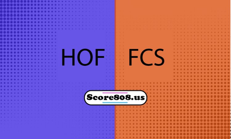 Hoffenheim Vs FCSB