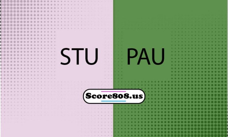 Stuttgart Vs St. Pauli