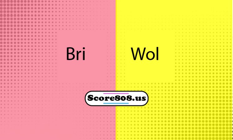 Birstol city vs Wolves