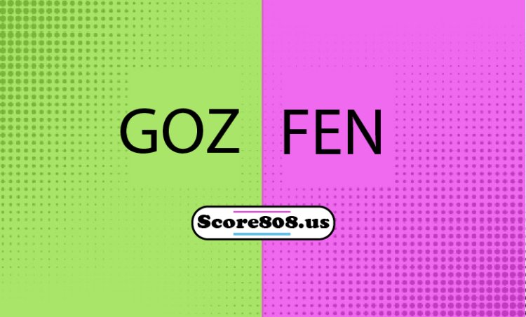 Fenerbahce Vs Goztepe