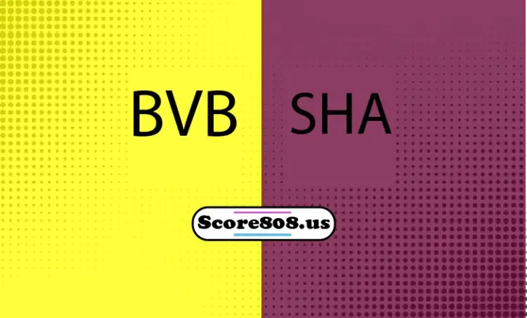 Dortmund Vs Shakhtar