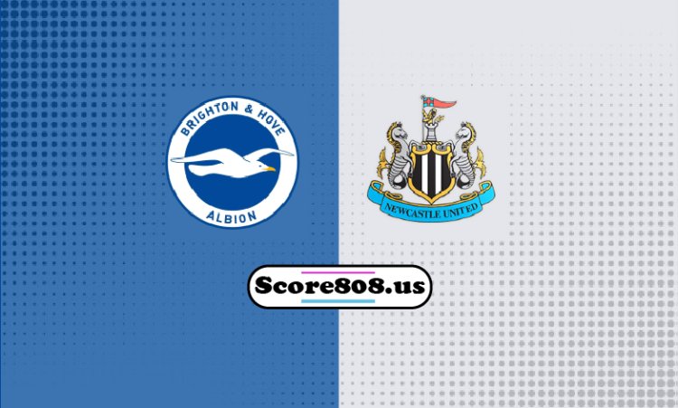 Brighton Vs Newcastle