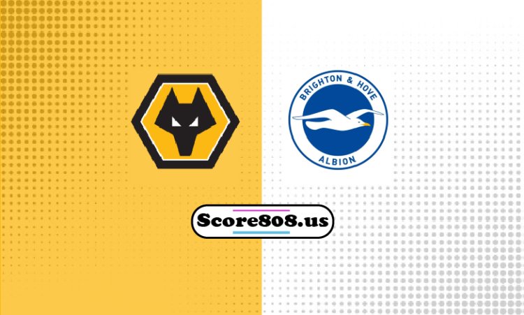 Wolves Vs Brighton