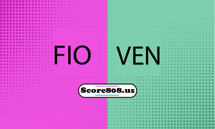 Venezia Vs Fiorentina