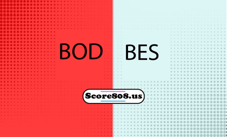 Bodrumspor Vs Besiktas