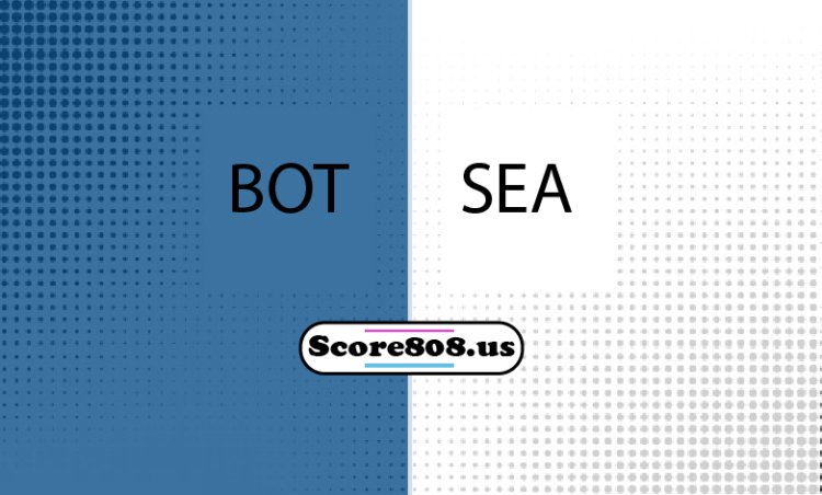 Botafogo Vs Seattle
