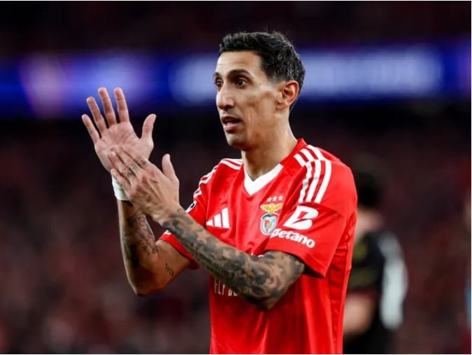 Benfica vs Auckland City | Club World Cup | Group Stage - Matchday 2 of 3 | Pre Match