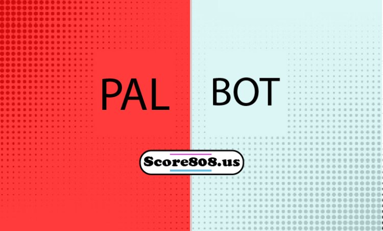 Palmeoras Vs Botafogo
